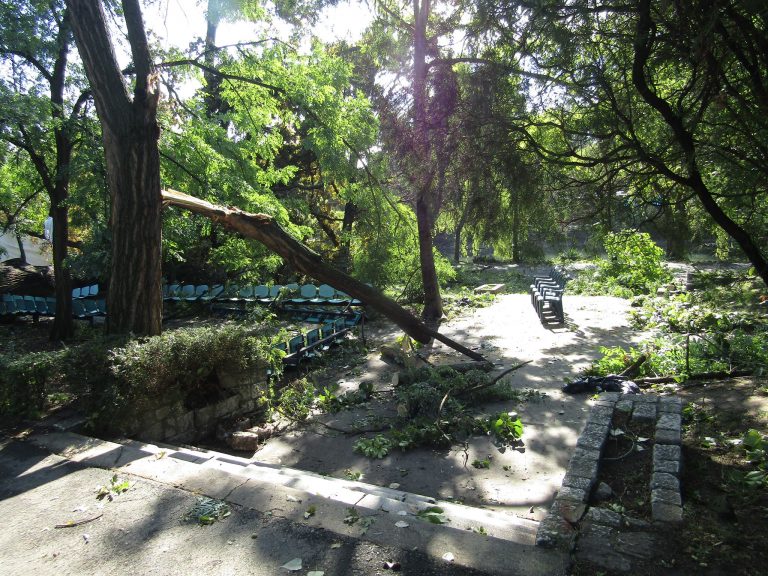 Apel de suflet pentru igienizarea Timişoarei după furtună. Cine îl face?