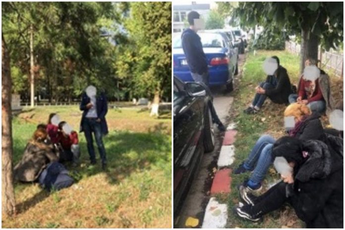 migranti-timisoara-colaj