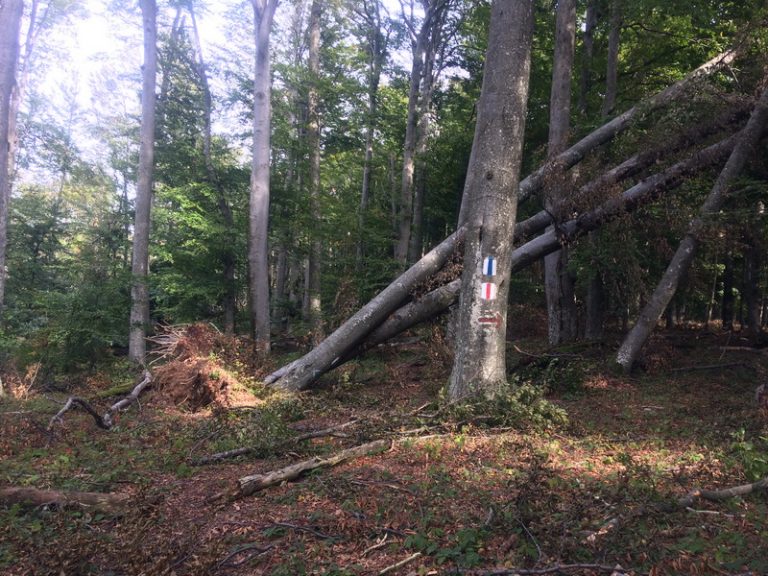 Stațiune închisă temporar după furtuna violentă din vest! Unde au turiștii interzis