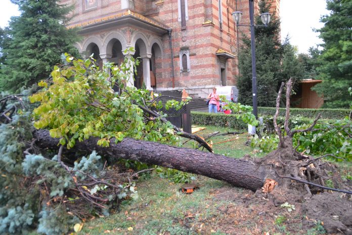 pagube furtuna catedrala (12)