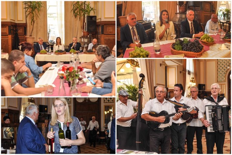 La cules de struguri pe dealurile Vârşeţului