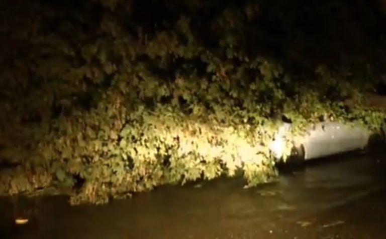 Efectele incredibile ale ciclonului asupra unor localități din Caraș Severin! Ce s-a întâmplat azi-noapte?