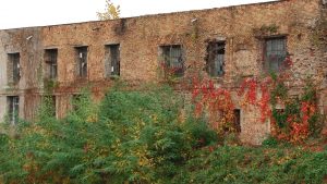 Ruine socialiste mal Bega 4