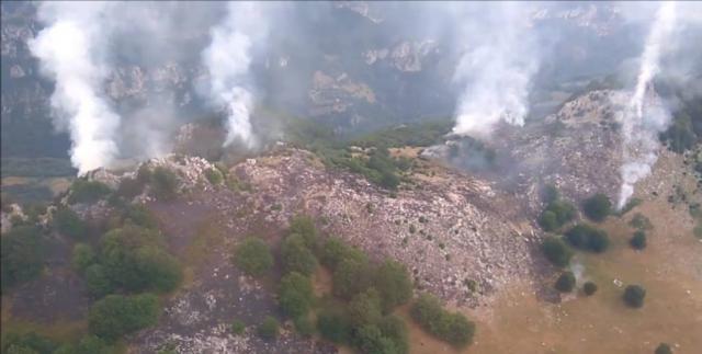 Focul mistuie aurul verde al Banatului! Intervenție extrem de dificilă pe Valea Cernei
