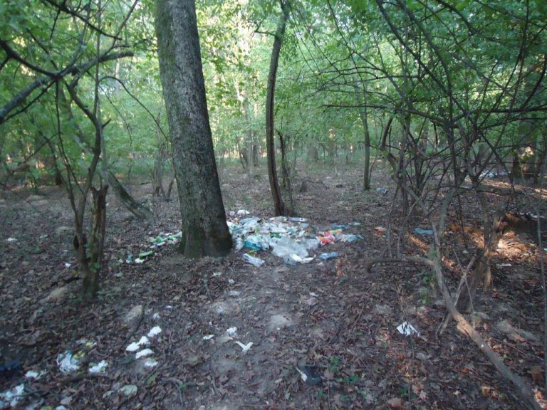 Turiştii vandalizează Parcul Naţional Porţile de Fier