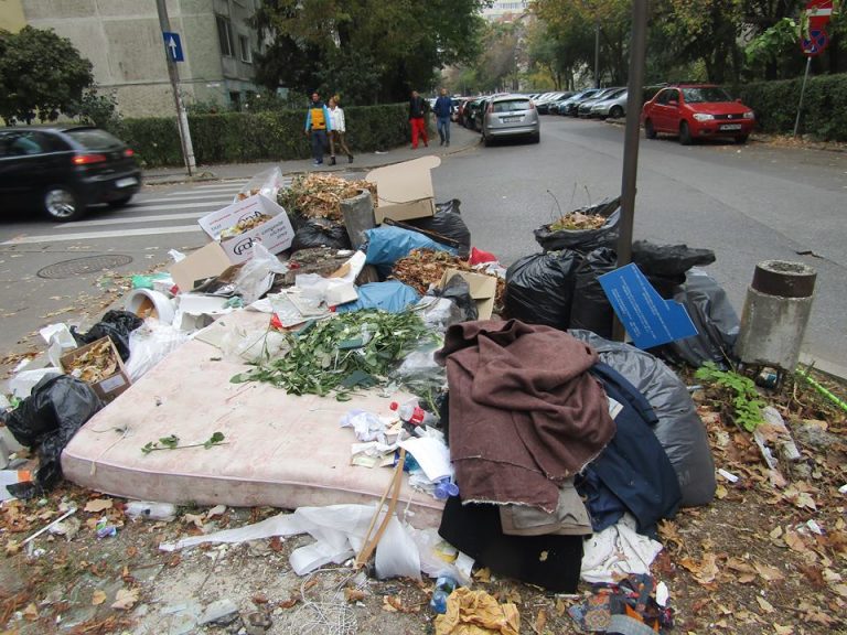Străzile Timișoarei, ,,sufocate” de gunoaie. Imagini care umbresc frumusețea Micii Viene