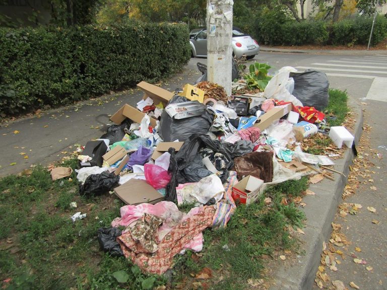 Timișoara are firmă de salubritate. Curățenia ar putea începe până la… Paști