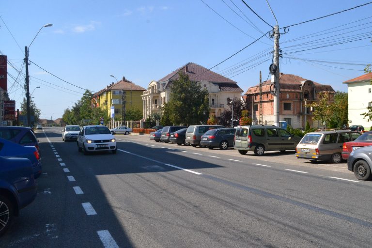 Grupurile de acțiune locală din țară, reunite la Recaș