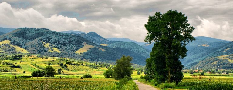 ,,Almăjul de ieri, de azi și de mâine sau mult dorita Vale a miracolelor”