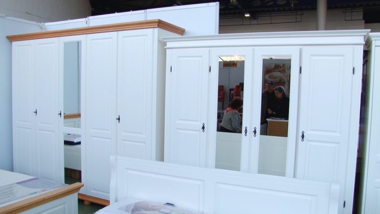 O nouă ediție a EXPOMOBILA TIMIȘOARA 2019