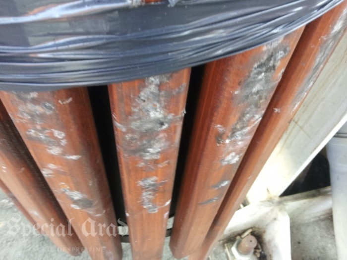 Ca la noi, la nimenea! Cum arată gara ,,europeană” din vestul țării, la un an după finalizare…