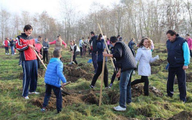 Timişoara – un oraş mai verde şi mai curat