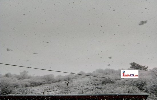 Banatul îmbracă haine albe. Zonele acoperite de zăpadă, după ninsori abundente