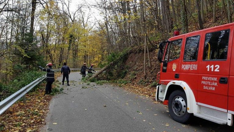 Primele efecte ale vântului în Caraș-Severin: circulație îngreunată, copac căzut pe drum. Foto