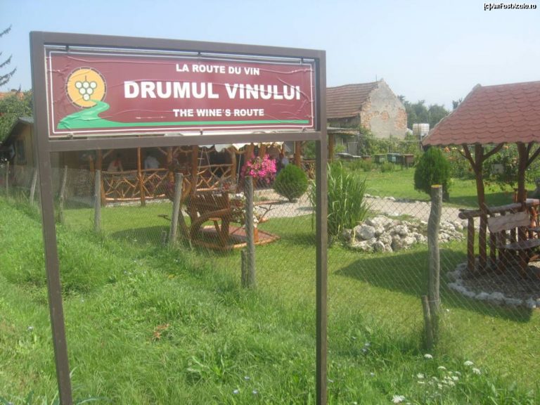 Scandal de corupție ,,cât casa” într-un mare oraș din vestul țării! Persoane celebre din politică și din afaceri implicate în fraude cu bani europeni