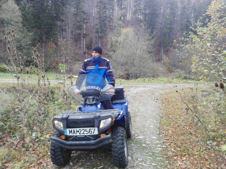 Alertă în Caraș-Severin! Jandarmii caută doi bărbați rătăciți pe munte
