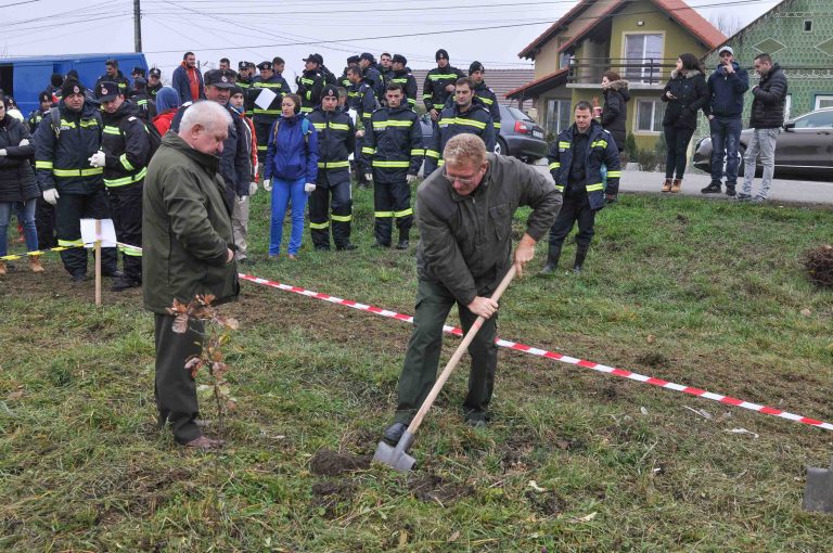 S-au plantat fapte bune în perdeaua de protecție forestieră de la Sînmihaiu Român. Foto