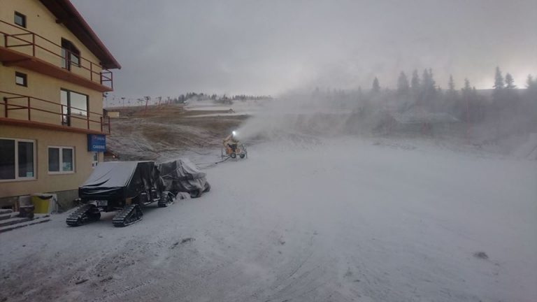 Primul om de zăpadă din acest sezon! Unde a apărut, în vestul țării. Foto