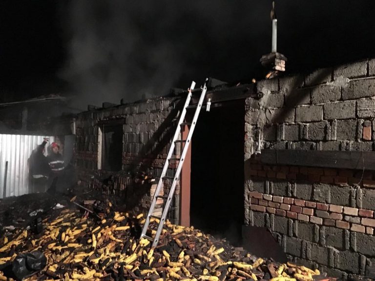 Numeroase incendii înregistrate în Banat! De la ce au pornit și cum le puteți preveni