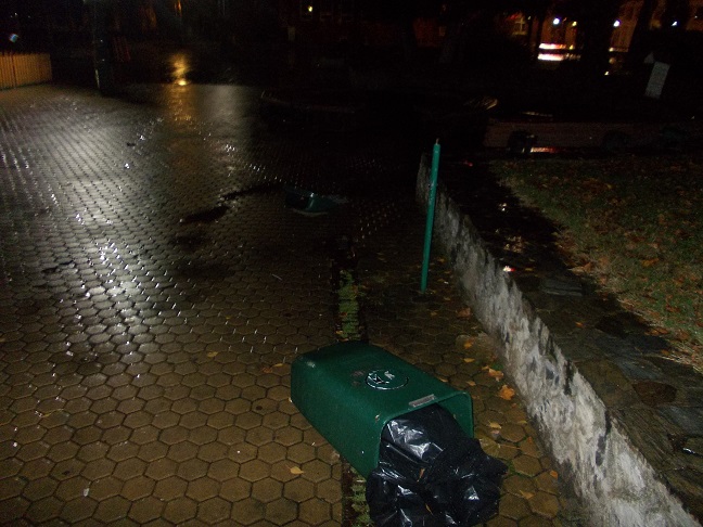 A aflat cât costă să distrugi coșurile de gunoi din oraș