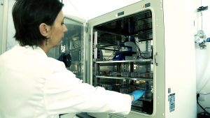 OncoGen locul unde se tipăresc la imprimantă 3D viitoarele celule ce ne vor cârpi organismul bolnav — .Still054