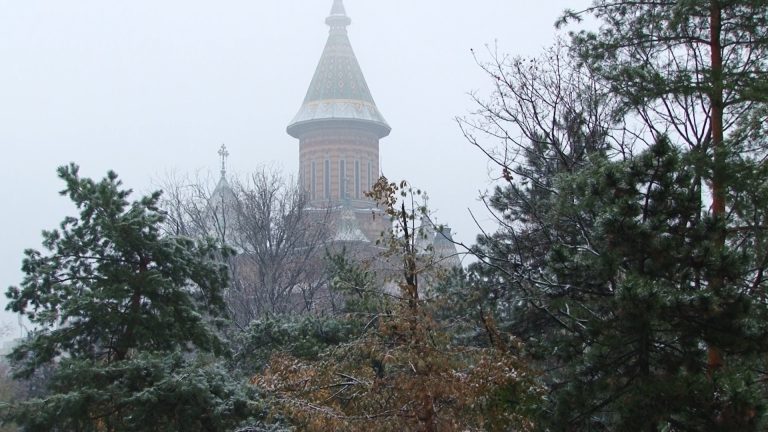 Timișoara îmbracă haină albă: prima ninsoare peste oraș – video