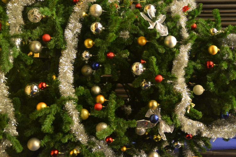 Gânduri de iarnă pentru bănățeni. Video