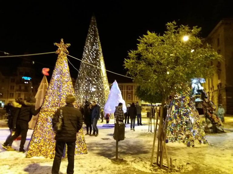 ,,Defrișare” în pădurea de brazi ecologici din Piața Libertății. Ce s-a întâmplat! Foto