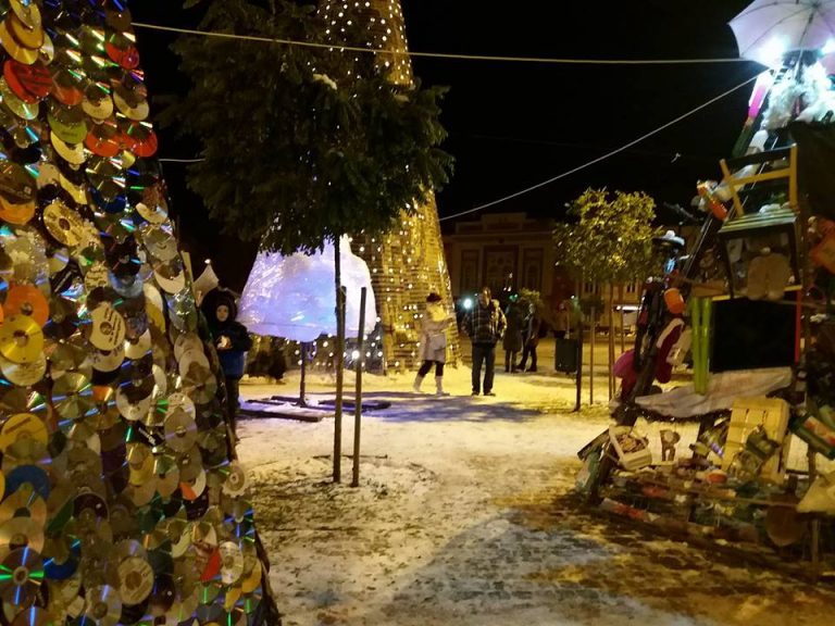 Decor inedit de Crăciun, la Timișoara. S-a inaugurat ,,Pădurea de brazi”. Foto-video