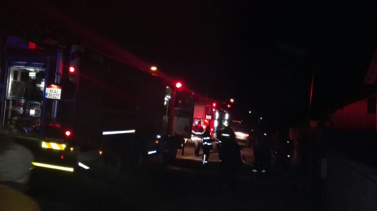 Un câine a dat foc casei, vezi cum a reușit – foto