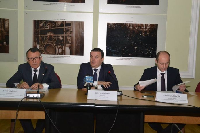 cj timis-vicepremier stanescu