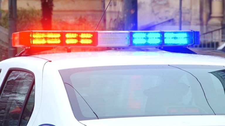 S-au făcut de cacao! Ce scrie pe o mașină a Poliției Locale dintr-un oraș al României. FOTO