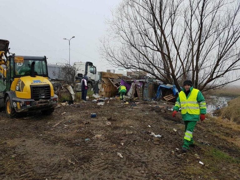 Oamenii străzii, stăpânii câmpurilor de la marginea Timişoarei