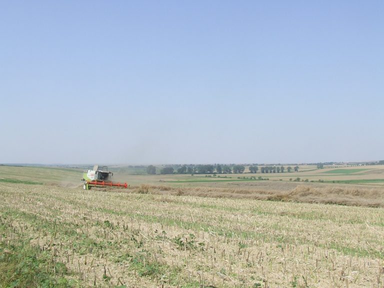 Localitatea din Timiș unde s-a făcut cea mai mare tranzacție din agricultură în 2019 – 3,4 milioane de euro