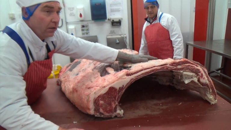 Alertă de pestă porcină în Banat, vezi ce sfătuiesc veterinarii