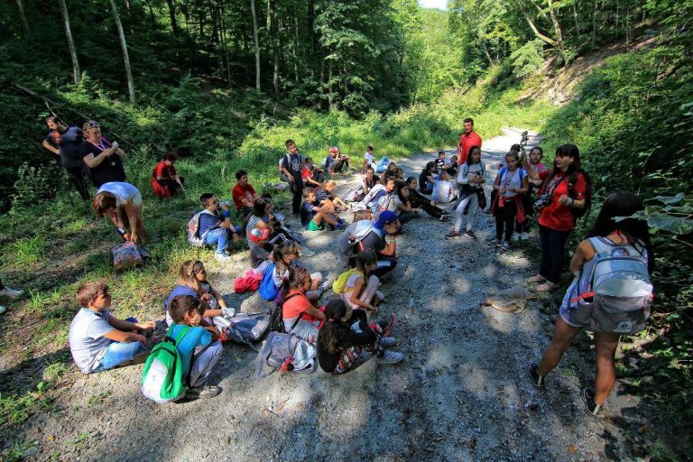 Hai la Şcoala Zero Waste! Învaţă despre ecologie şi colectare selectivă într-un concurs inedit