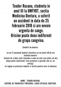 28276990_1745888542098961_8139812696254683046_n