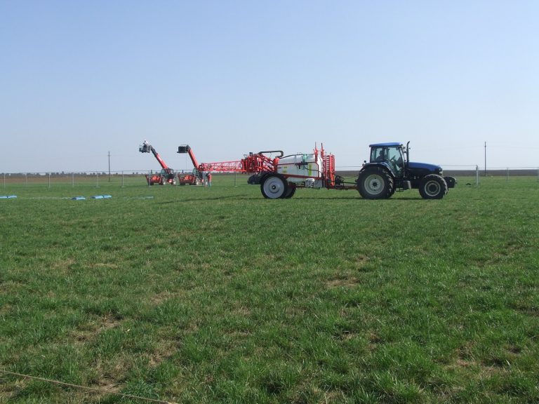 Atenție, fermieri din Timiş! Un nou sprijin financiar de 320,581 milioane lei, în 2018