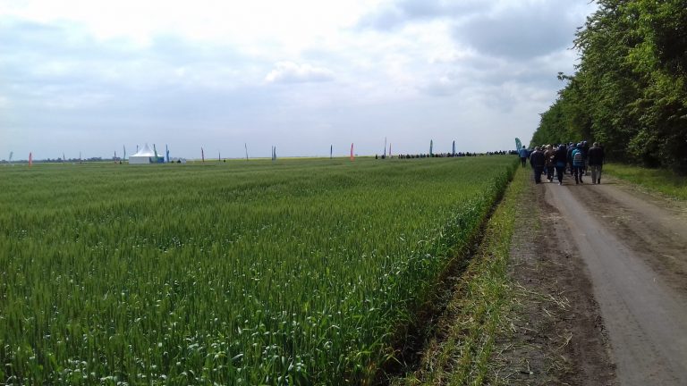 Tinerii fermieri vor primi sume de bani majorate de la 25% la 50% pe ha, de la 1 martie