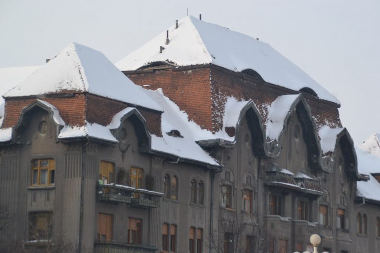 Timișoara întâmpină 1 Martie cu un ”val de promoroacă peste pomi și peste case”. Imagini cu orașul în prima zi de… primăvară! video