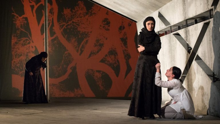 Luna martie aduce spectacole deosebite la Teatrul Maghiar de Stat din Timișoara