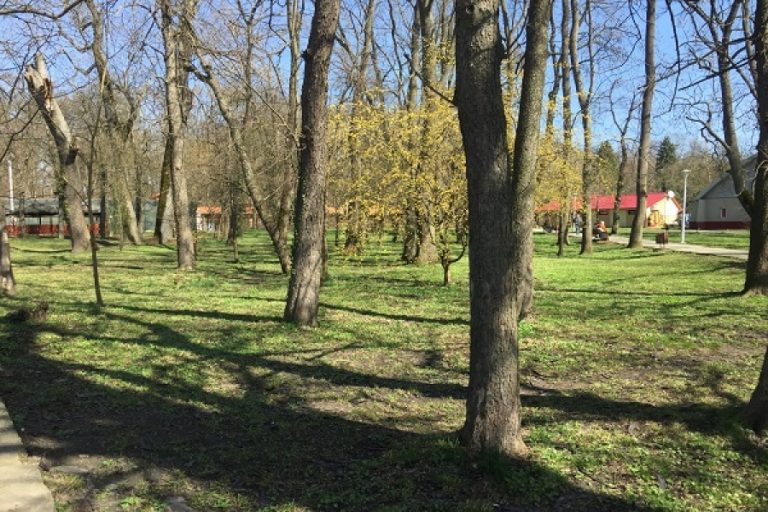 Ce a abandonat un bărbat la marginea unei păduri din Timiș. Martorii nu l-au iertat