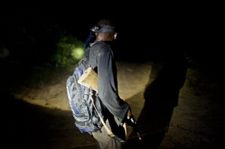 Dramă la vânătoare. O urmărire a unor braconieri s-a încheiat tragic, azi-noapte, în Timiș!