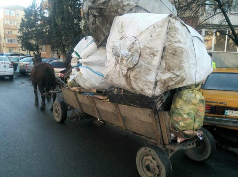 300 de lei pentru o ”plimbare” cu căruța, la Timișoara
