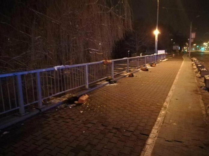 ghivece michelangelo2