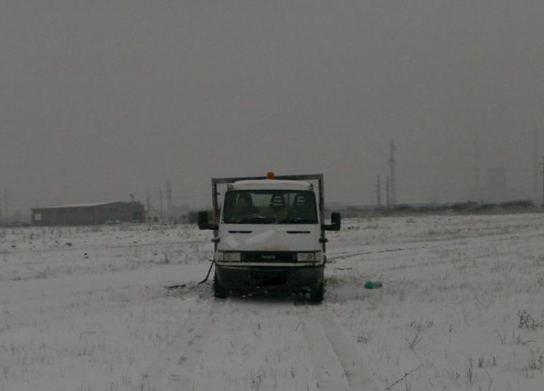 Obiceiul de care timișorenii nu se dezvață, deși le aduce pagube de mii de lei. Foto