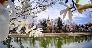 Primarul, haterii cu venin la purtător, și Bega cea minunată!