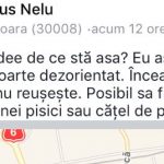 30725113_1921986917821467_7110198928372400128_n