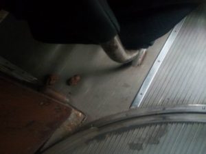 Caca-in-tramvai-420x315