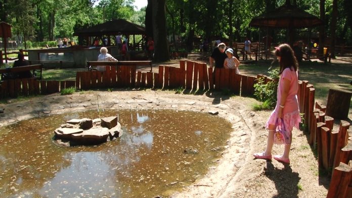 GRADINA ZOOLOGICA APRILIE 2018.Still102